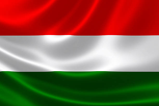 Course in Hungarian