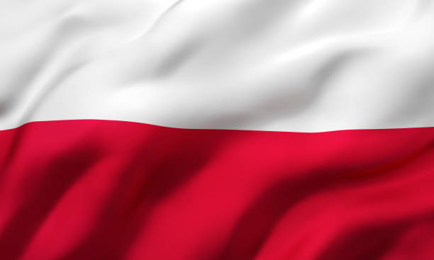 Course in Polish